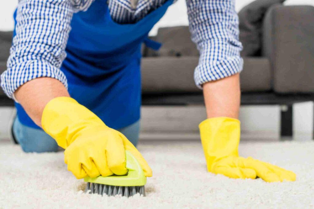 how much is carpet cleaning service