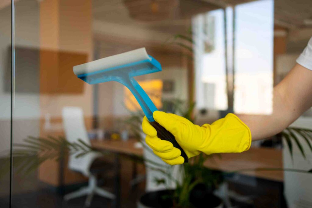 Hiring Professional Domestic Cleaning Windsor-1