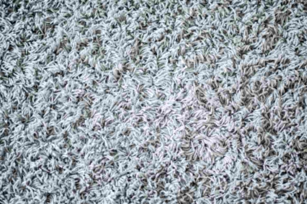 Why Choose Dry Carpet Cleaning Oxford for Quick and Effective Results-1