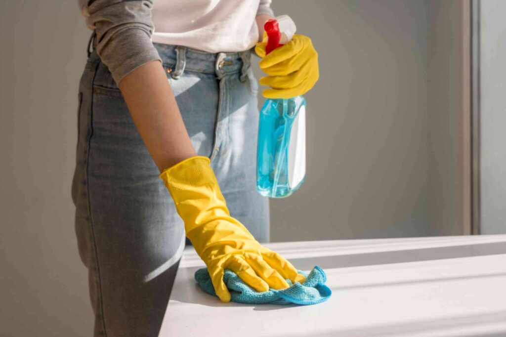 Domestic Cleaning Services The Smart Choice-1