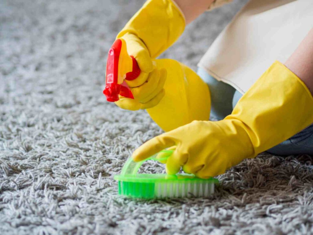 Oxford Carpet Cleaning