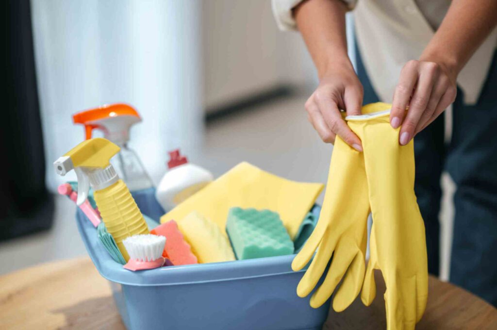 Hiring Professional Domestic Cleaning Windsor