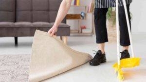 Hire Professional Carpet Cleaning Services Windsor