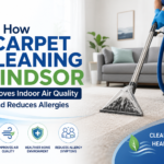 How Carpet Cleaning Windsor Improves Indoor Air Quality and Reduces Allergies